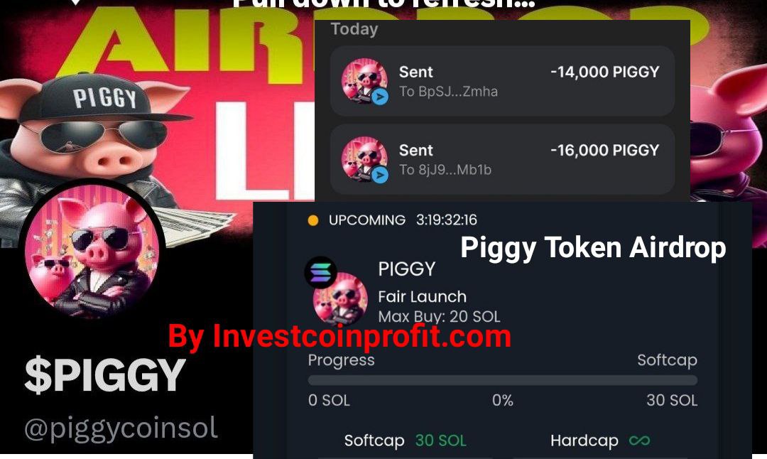 Piggy Airdrop: Claim $PIGGY Tokens for free (Withdraw, Submit Solana ...